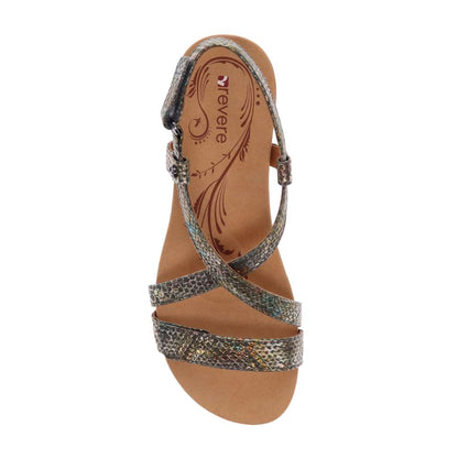 Luxor Wedge - Peacock Python